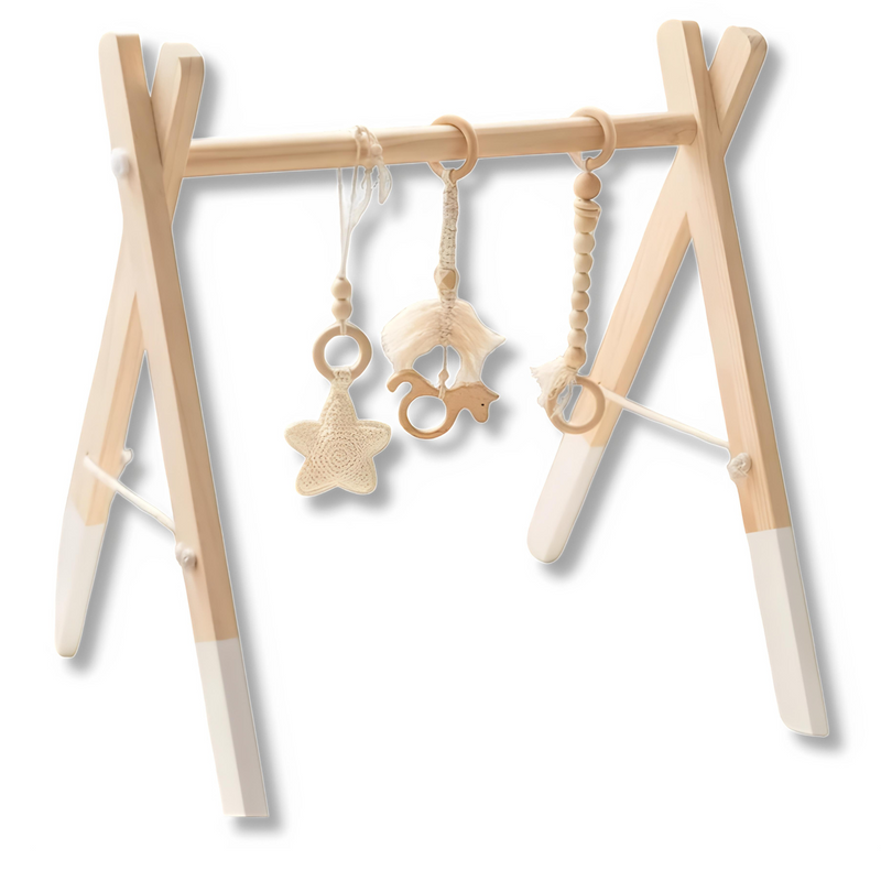 Baby Play GYM