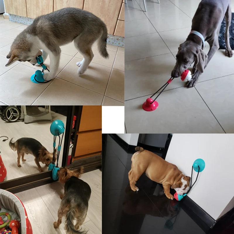 TOTO Dog Toy