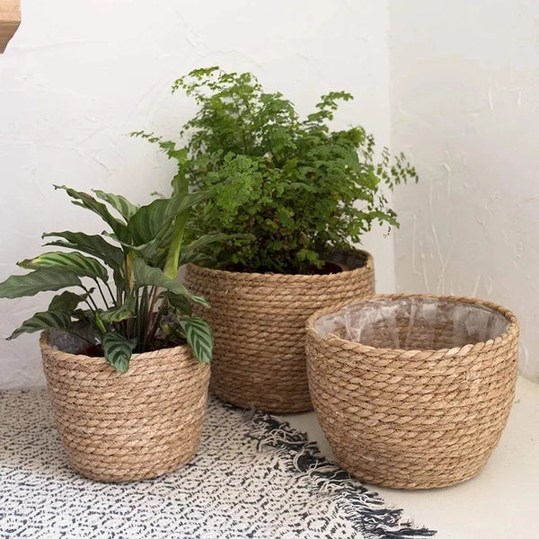 Floral Basket