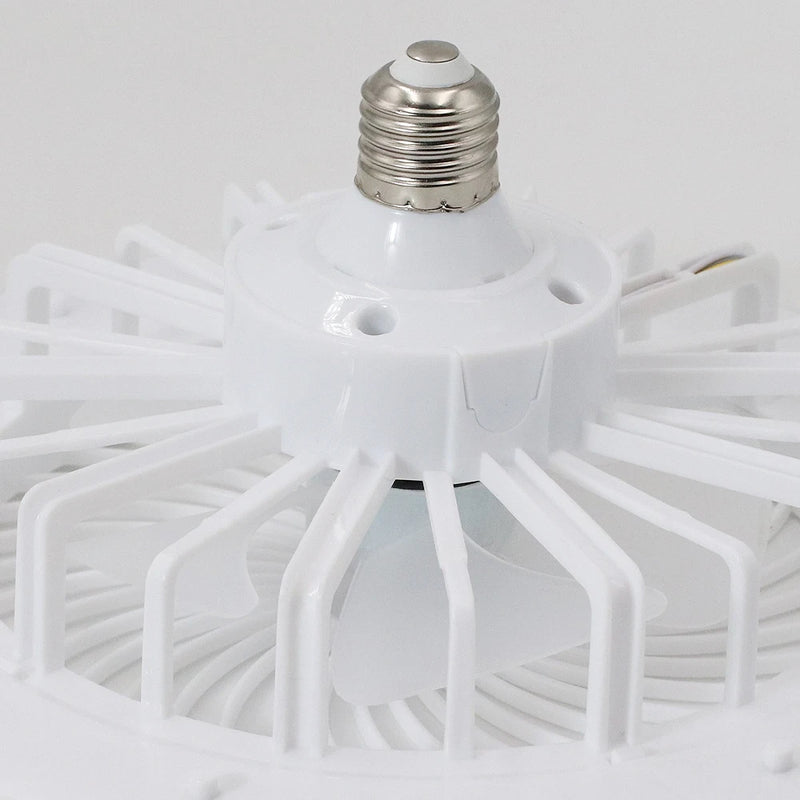 Ceiling Fan With Lights