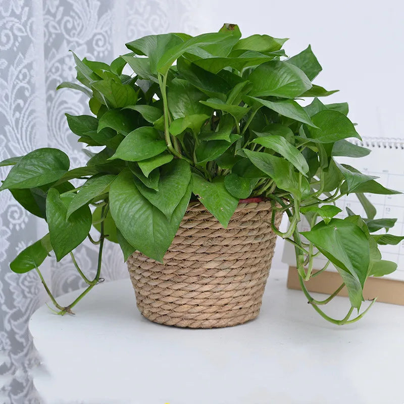 Floral Basket