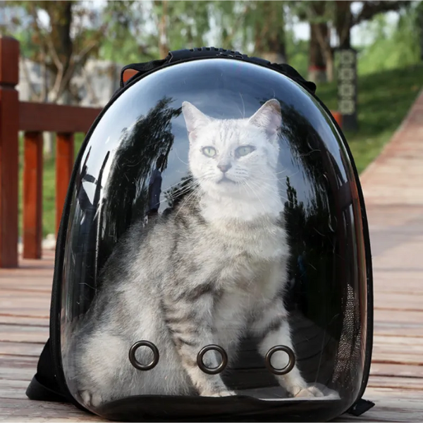 Cat Back pack