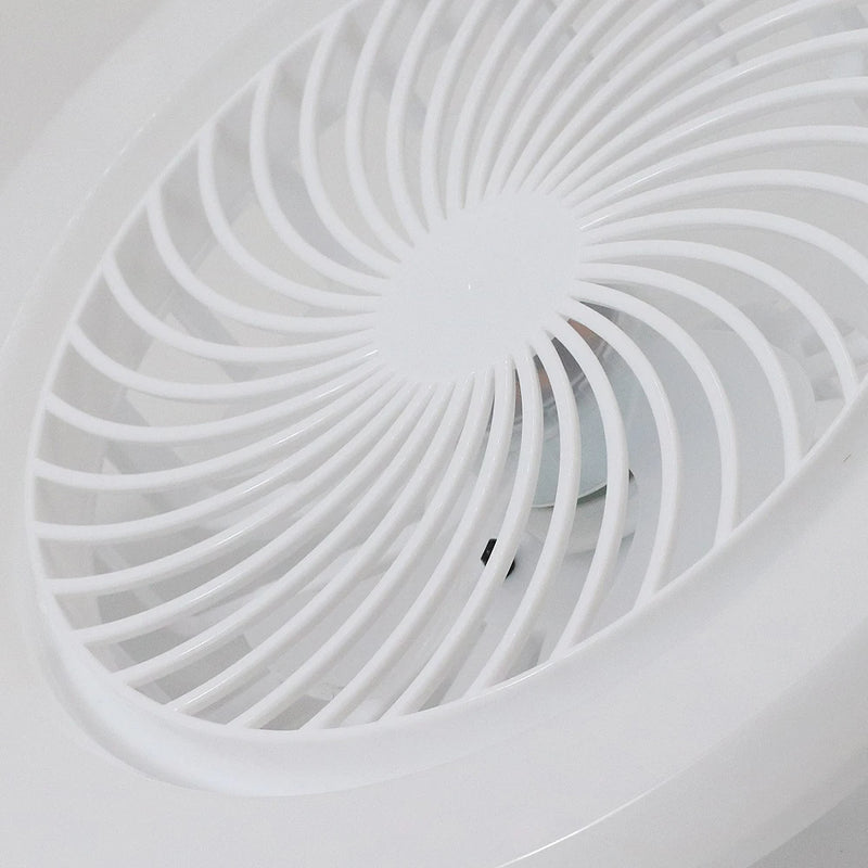Ceiling Fan With Lights