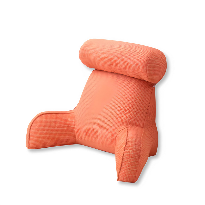 Snoozie Pillow